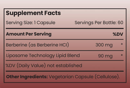 Rho Nutrition Liposomal Berberine Capsules - Ultra High Absorption Supplement – Supports Immune Function, Gut Health and Metabolic - Maple Wellness Supplements