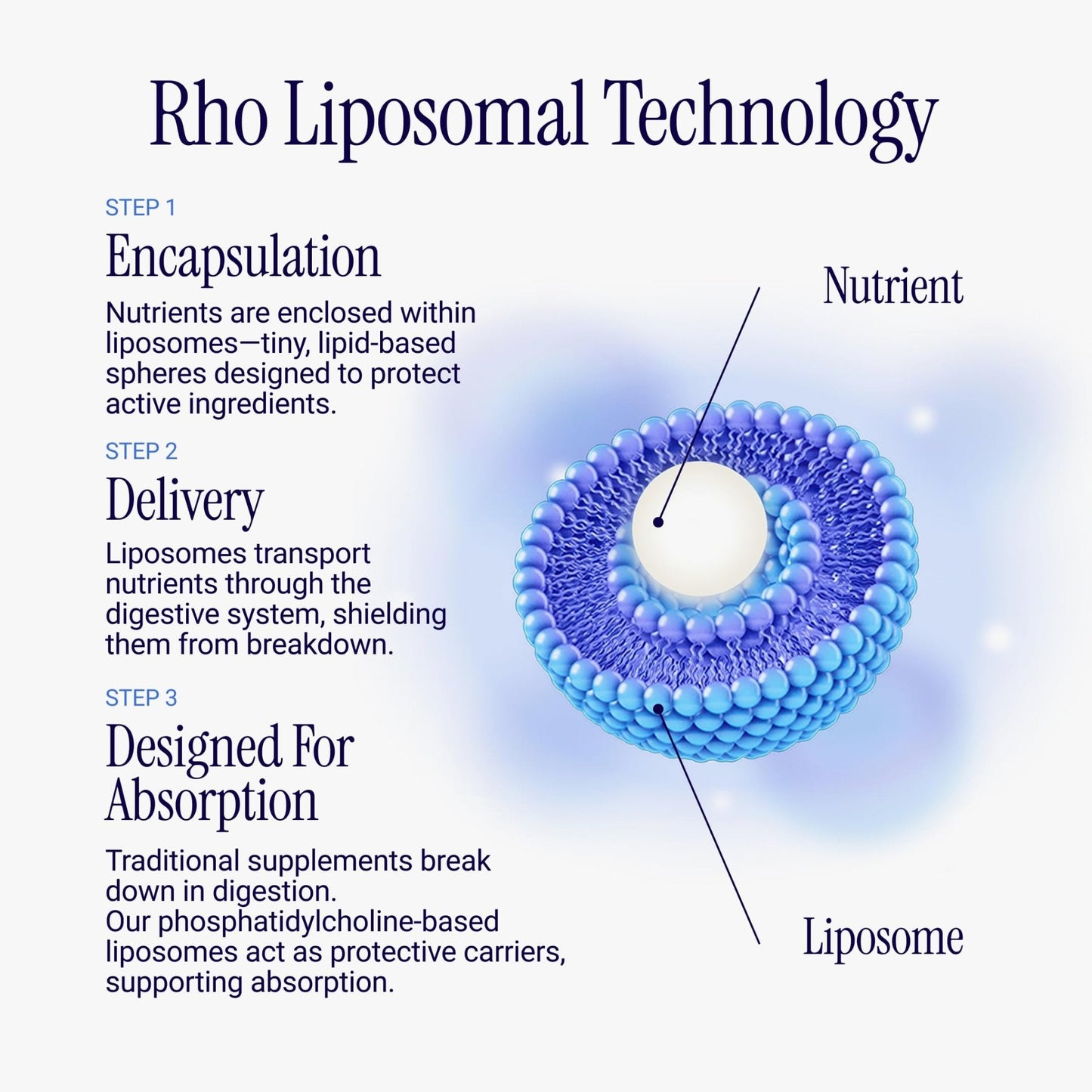 Rho Nutrition Liposomal Berberine Capsules - Ultra High Absorption Supplement – Supports Immune Function, Gut Health and Metabolic - Maple Wellness Supplements