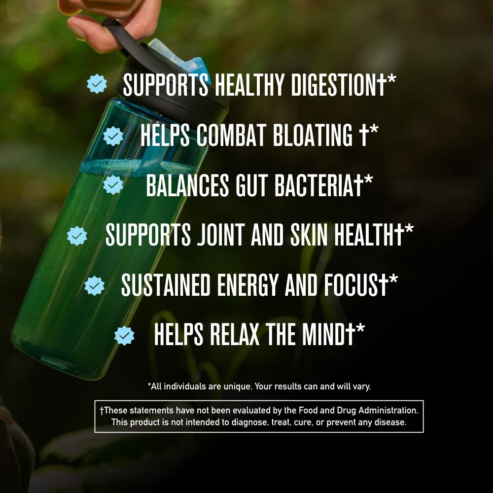 ROUNDHOUSE PROVISION Morning Kick, Greens Superfood Powder Supplement with Ashwagandha, Collagen & Probiotics - Sugar Free, Caffeine Free (3 Pack, Strawberry Lemonade Flavor) by Chuck Norris - Maple Wellness Supplements