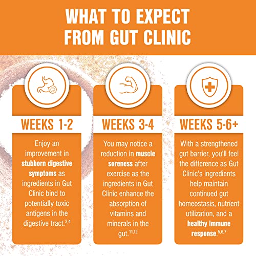 Salt Wrap Gut Clinic – Postbiotics for Digestive Symptoms, Complete Gut Health - Maple Wellness Supplements