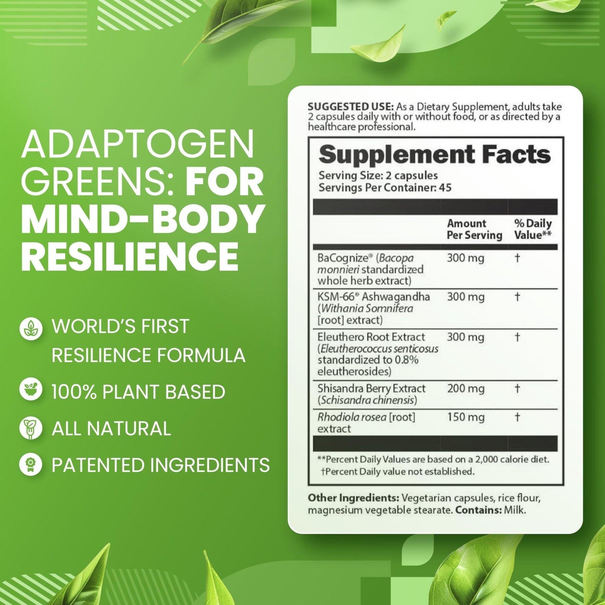 SaltWrap Adaptogen Greens - Mind-Body Resilience Formula - Caffeine-Free Nootropic for Stress, Focus, and Cognitive Performance - 90 Capsules - Maple Wellness Supplements