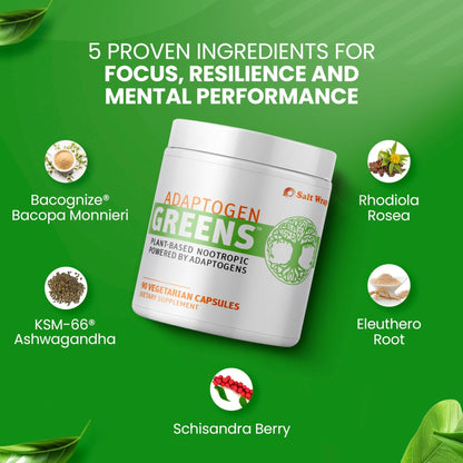 SaltWrap Adaptogen Greens - Mind-Body Resilience Formula - Caffeine-Free Nootropic for Stress, Focus, and Cognitive Performance - 90 Capsules - Maple Wellness Supplements