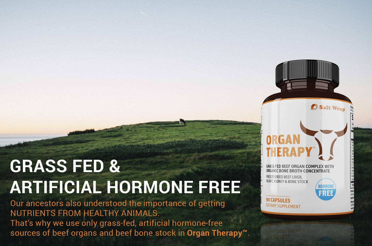 SaltWrap Organ Therapy - Grass Fed Beef Organ Meat Complex Supplement with Organic - Maple Wellness Supplements