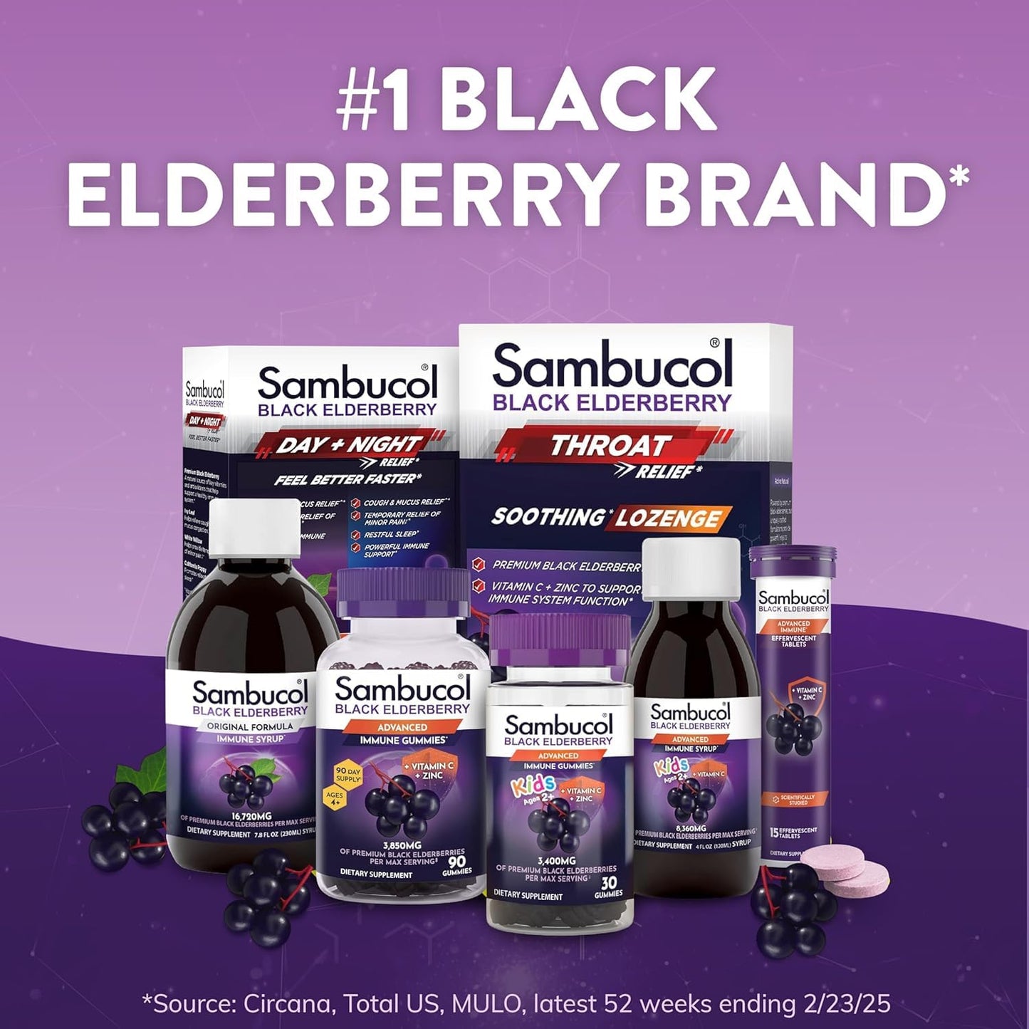 Sambucol Black Elderberry Syrup - Black Elderberry Liquid, Immune Support for Kids and Adults, High Antioxidants, Gluten Free - Maple Wellness Supplements