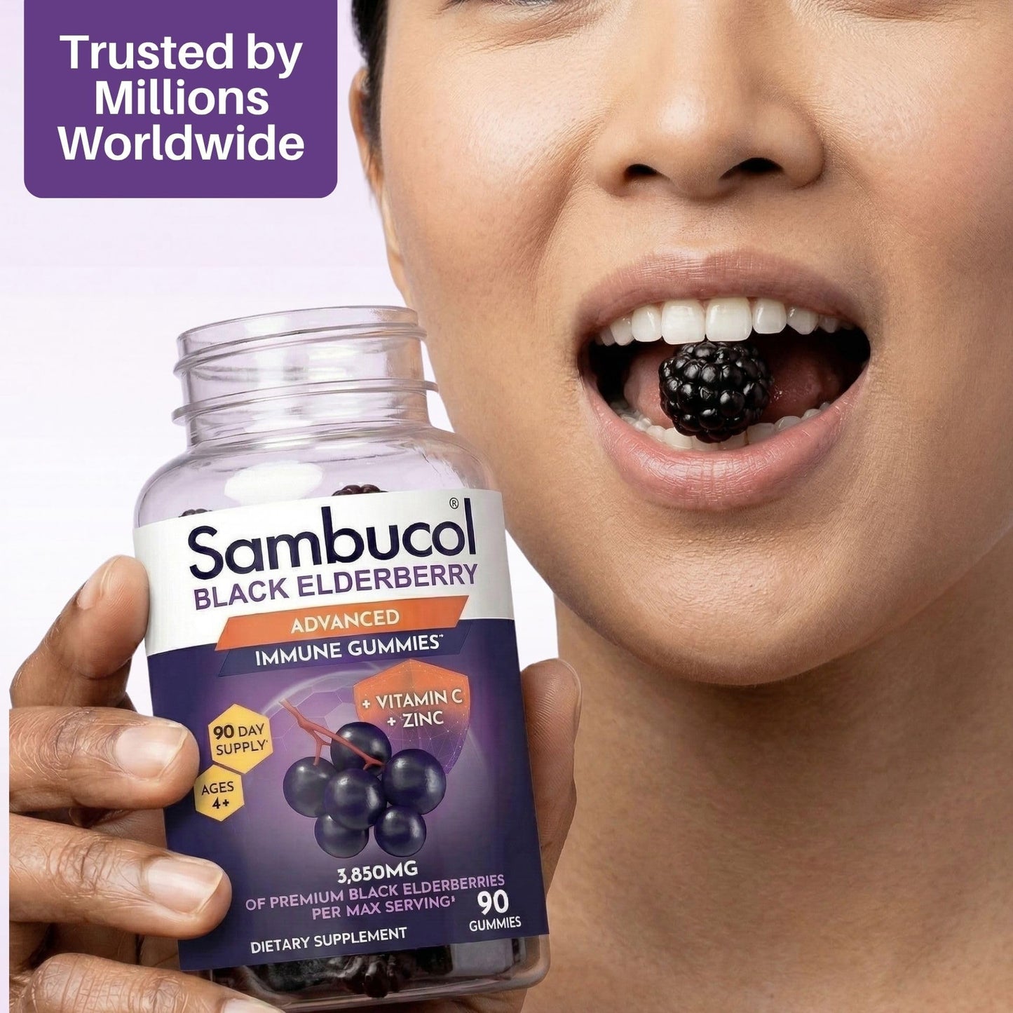 Sambucol Elderberry Gummies - Immune Support Supplement for Adults & Kids with Vitamin C & Zinc, Sambucol Elderberry - Maple Wellness Supplements