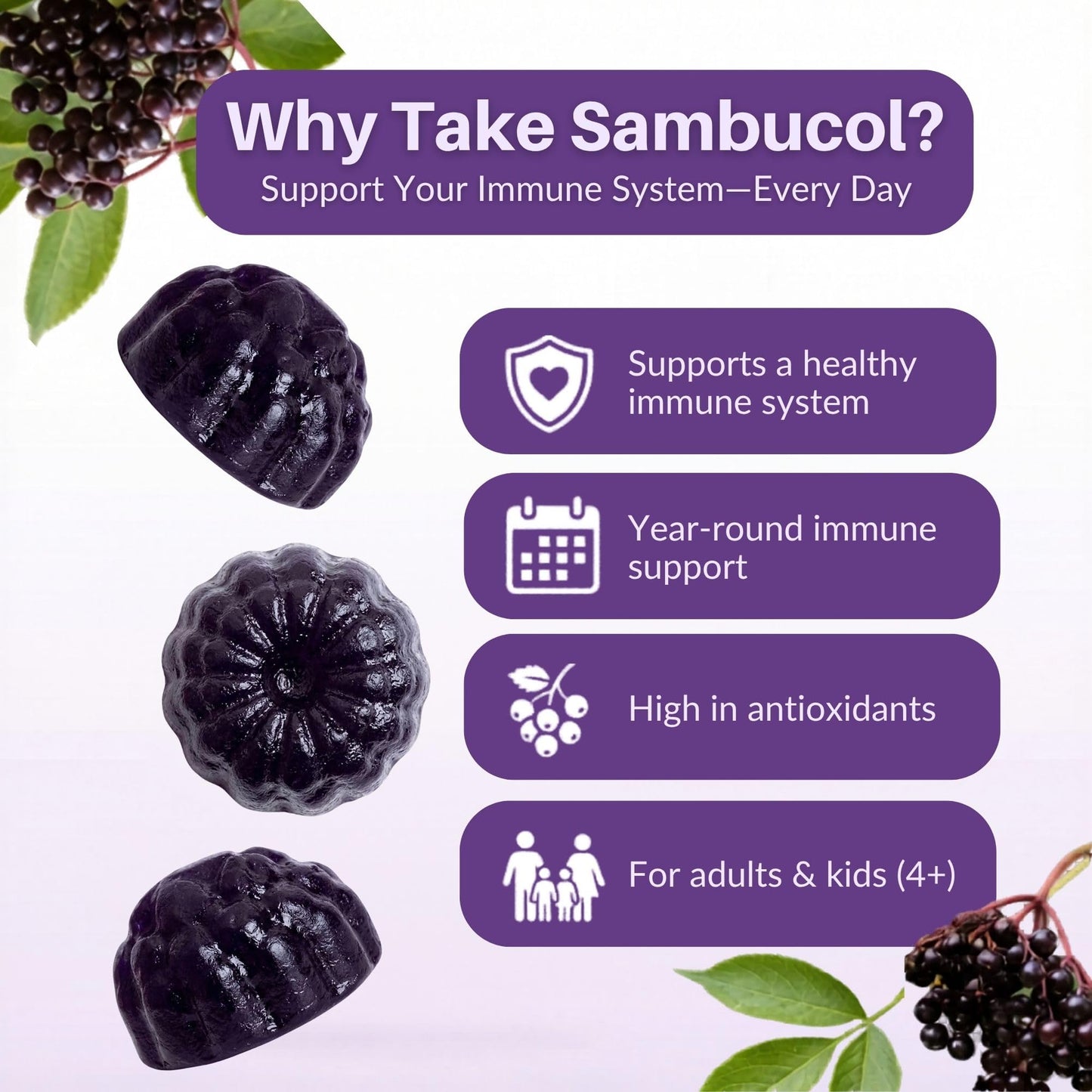 Sambucol Elderberry Gummies - Immune Support Supplement for Adults & Kids with Vitamin C & Zinc, Sambucol Elderberry - Maple Wellness Supplements