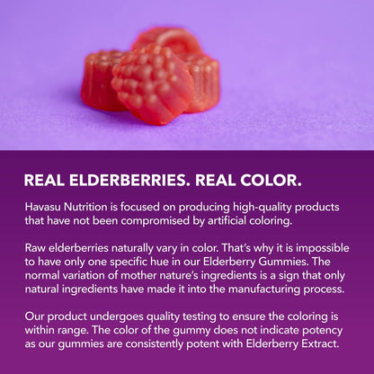 Sambucus Elderberry Gummies for Adults - Immune Support Supplement with Vitamin C and Zinc - Enhanced Formula for Daily Defense - 60 Count - Maple Wellness Supplements