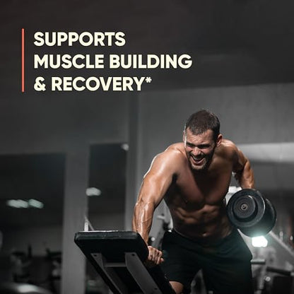 Sandhu's Pure Bovine Colostrum Powder Supplement for Humans |𝟰𝟬% 𝗜𝗴𝗚 Highly - Maple Wellness Supplements