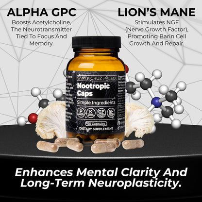 Santa Cruz Paleo Nootropic Capsules – Lions Mane, Alpha GPC, Panax Ginseng & Ginkgo Biloba for Focus, Memory, Mental Clarity & Energy – Keto, Paleo, Gluten Free Brain Supplement, 60 Caps - Maple Wellness Supplements