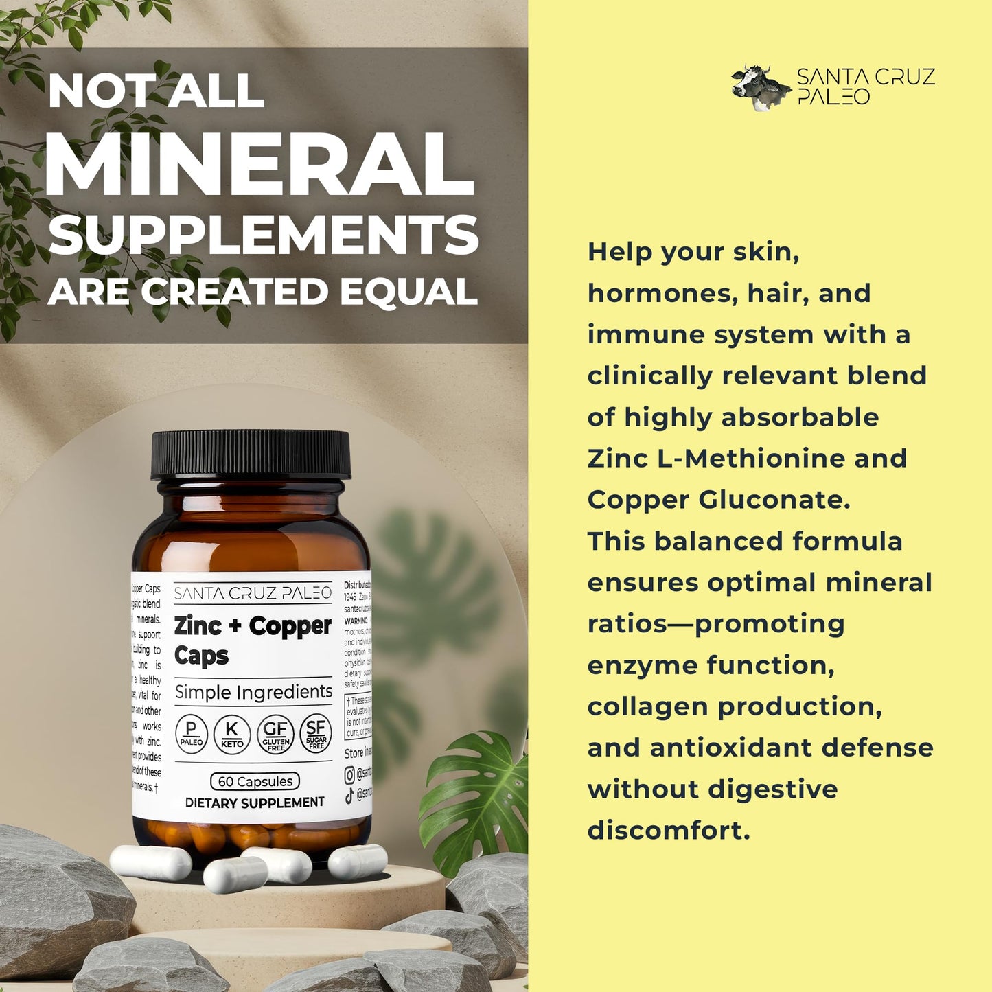 Santa Cruz Paleo, Zinc & Copper Mineral Supplement, High Absorption Formula, Zinc Supplement for Skin & Hair, L Methionine, Copper Gluconate, Trace Minerals - Maple Wellness Supplements