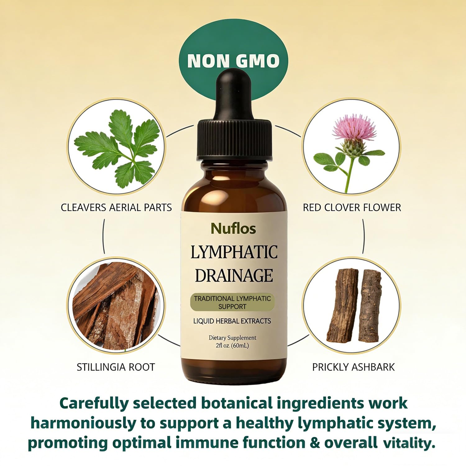 SAPURAIS Nuflos Lymphatic Drainage Drops, Supports Fluid Balance & Immune Health, 2 fl.oz - Maple Wellness Supplements