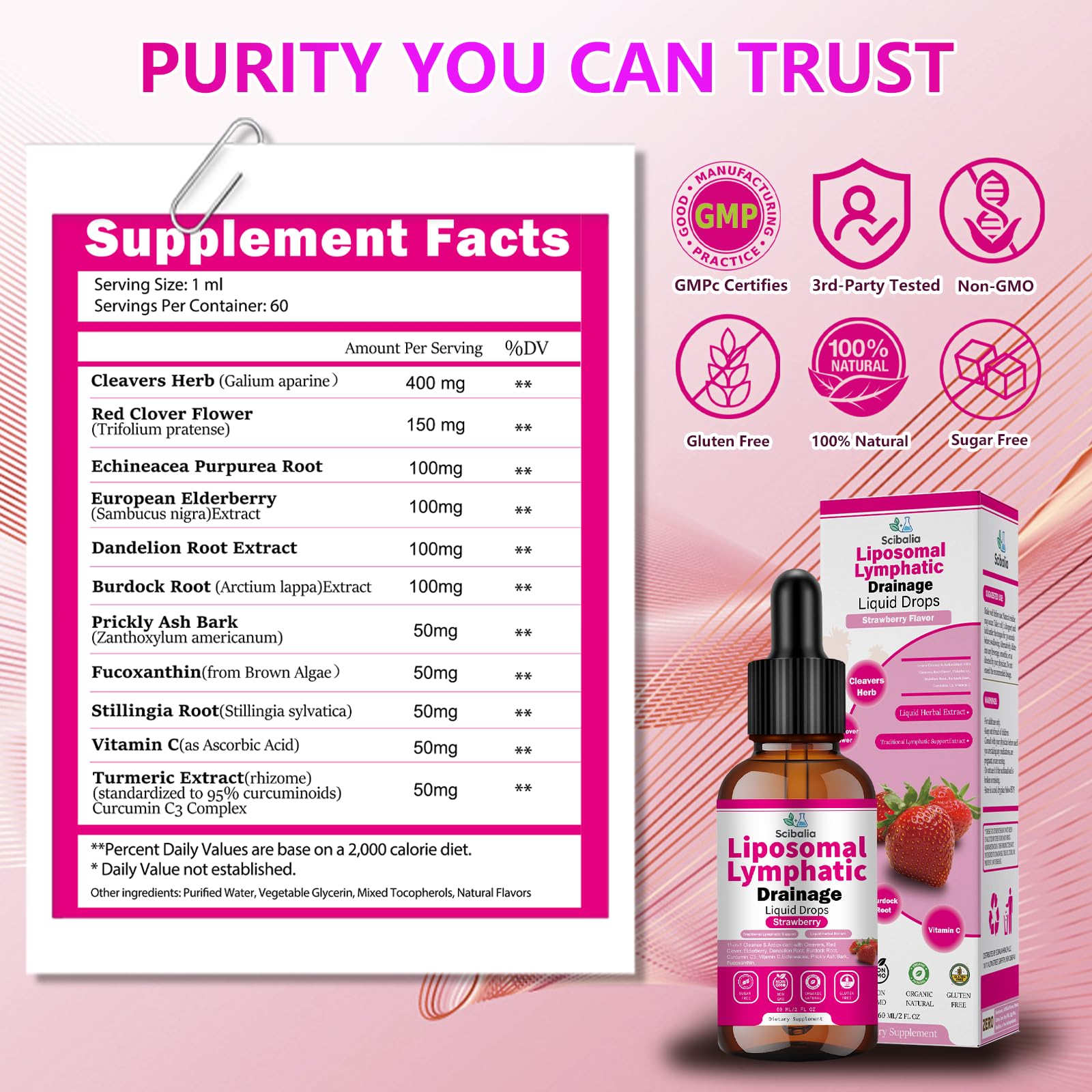 Scibalia Liposomal Lymphatic Drainage Drops, 11-in-1 Organic Lymphatic Support with Red Clover Echinacea Elderberry Burdock Root for Lymph Cleanse Immune Support & Daily Detox Vegan Non-GMO - Maple Wellness Supplements