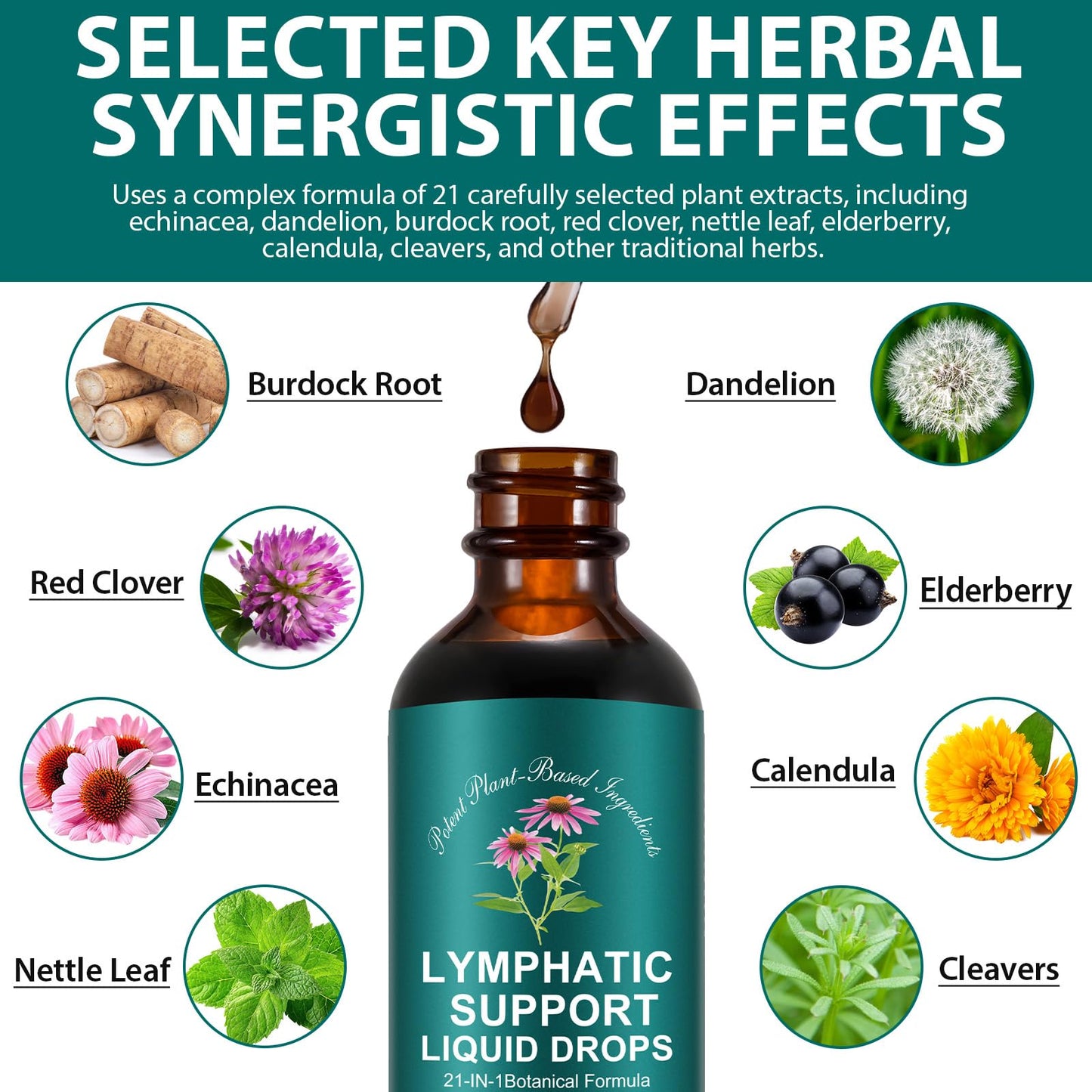 SDJUFEI 21-in-1 Lymphatic Drainage Drops， Lymphatic Support Liquid Drops with Turmeric, Echinacea, Elderberry & Dandelion, for Women & Men, 2 fl oz - Maple Wellness Supplements
