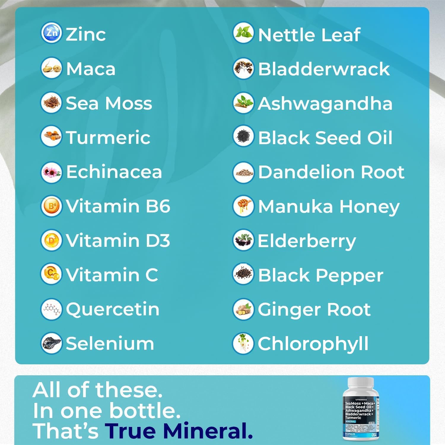 Sea Moss 3000mg Maca 1000mg Black Seed Oil 2000mg Ashwagandha 1000mg Bladderw - Maple Wellness Supplements