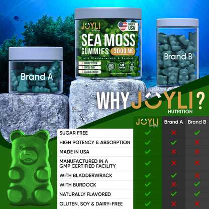 Sea Moss Gummies - Irish Seamoss Gummies for Adults & Kids - Advanced Superfood - Maple Wellness Supplements