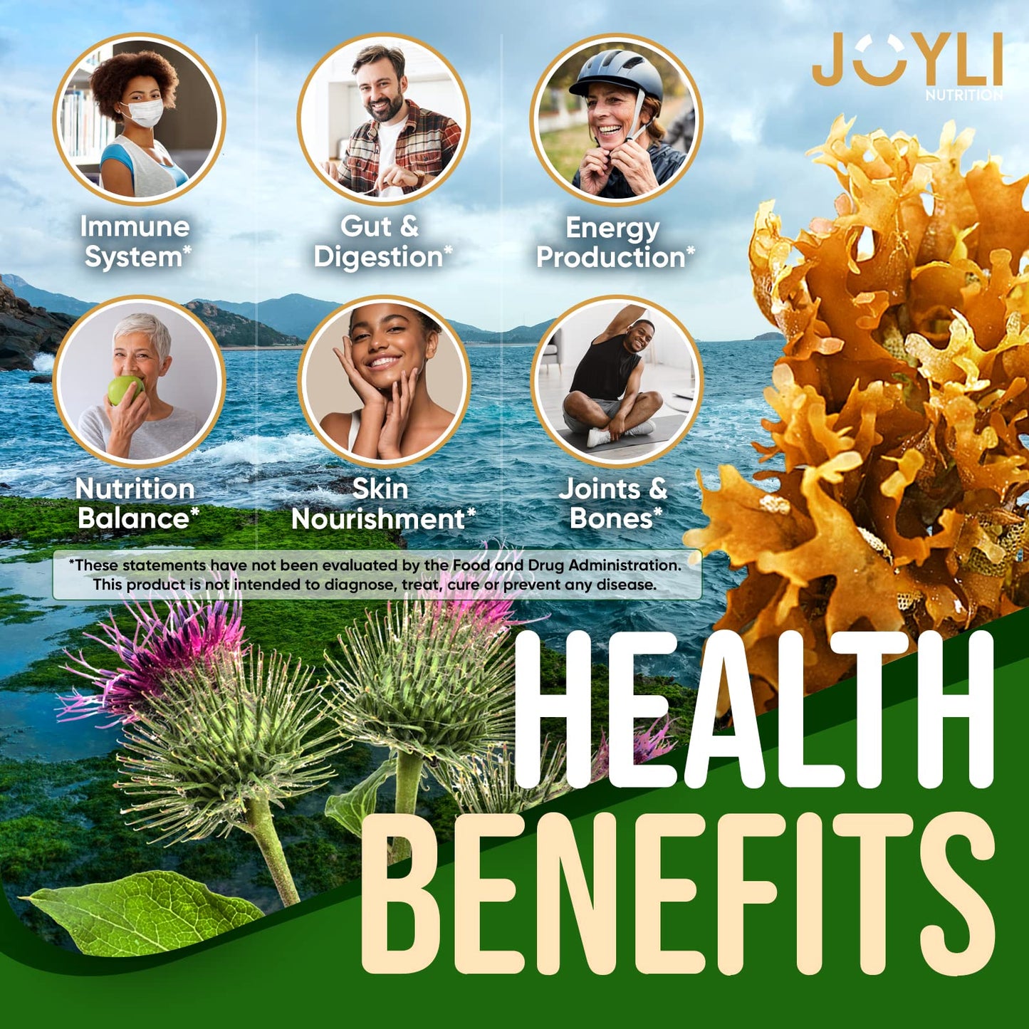 Sea Moss Gummies - Irish Seamoss Gummies for Adults & Kids - Advanced Superfood - Maple Wellness Supplements