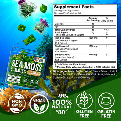 Sea Moss Gummies - Irish Seamoss Gummies for Adults & Kids - Advanced Superfood Supplement with Natural Sea Moss Gel, Bladderwrack & Burdock Root Extract - 60 Vegan Irish Moss Gummy Bears - Maple Wellness Supplements