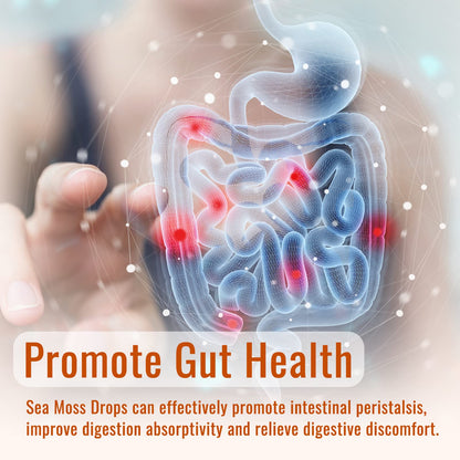 Sea Moss Liquid Drops: Organic Irish Sea Moss 2500mg with Turmeric, Bladderwrack - Maple Wellness Supplements