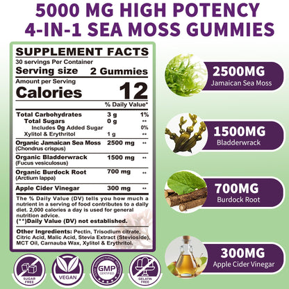 Sea Moss Supplement 5000mg, Sugar Free Sea Moss Gummies, Irish Sea Moss - Maple Wellness Supplements