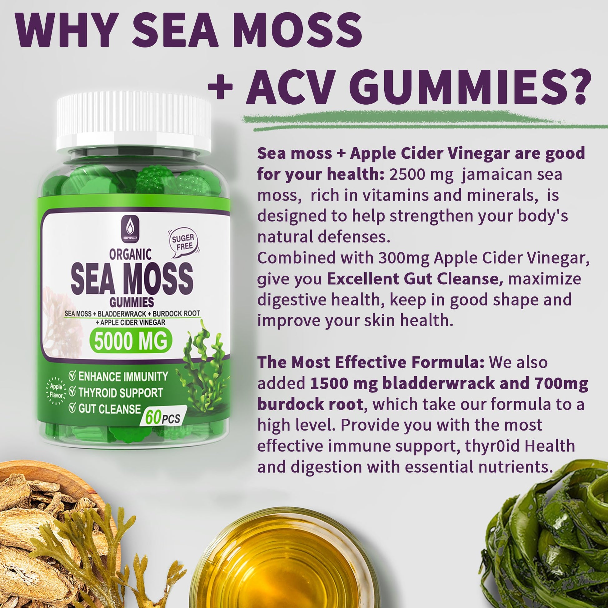 Sea Moss Supplement 5000mg, Sugar Free Sea Moss Gummies, Irish Sea Moss - Maple Wellness Supplements