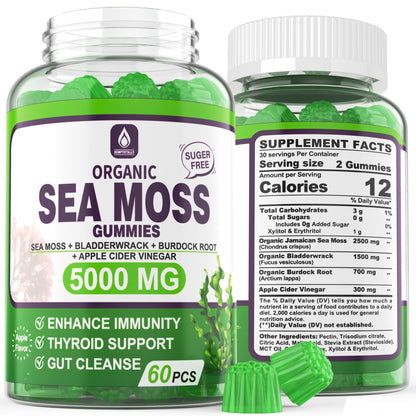 Sea Moss Supplement 5000mg, Sugar Free Sea Moss Gummies, Irish Sea Moss - Maple Wellness Supplements
