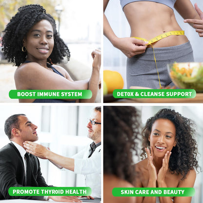 Sea Moss Supplement 5000mg, Sugar Free Sea Moss Gummies, Irish Sea Moss - Maple Wellness Supplements