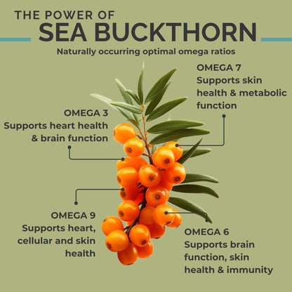 SeabuckWonders Organic Sea Buckthorn Oil Omega-7 Complete,120 Softgels, 60 Day Supply, with Omega 3, 6 & 9, Supports Hair - Maple Wellness Supplements