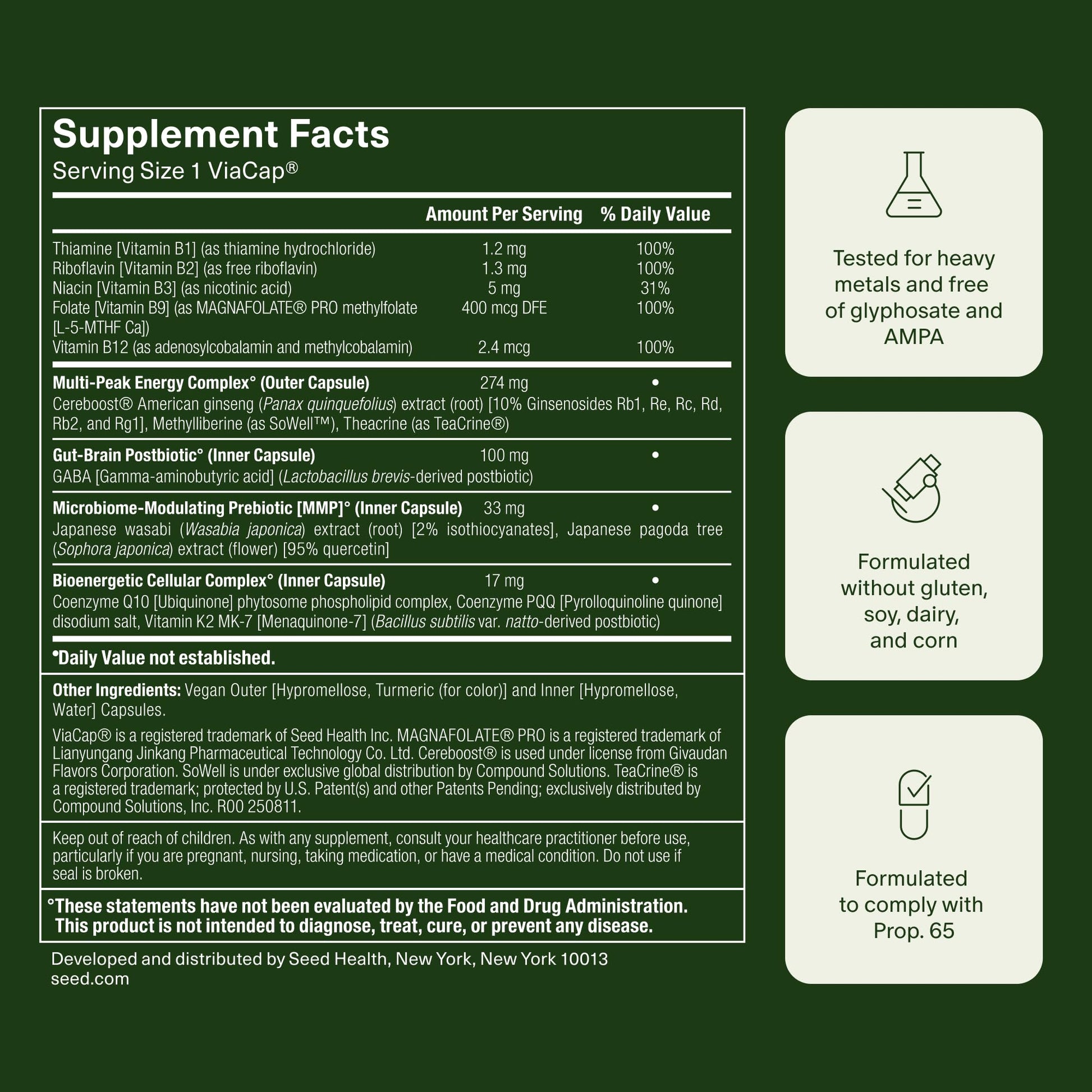 Seed AM-02 Energy + Focus - Daily Nootropic Supplement for Women & Men - Fast-Acting & Sustained Energy for Up to 6 Hours - Caffeine-Free Vegan & Shelf-Stable - 30 Capsules (30-Day Supply) - Maple Wellness Supplements