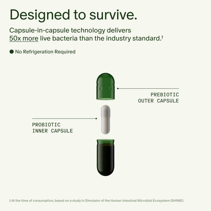 Seed DS-01 Daily Synbiotic - Prebiotic and Probiotic for Women & Men - Digestive Health, Gut Health, Immune Support, Bloating & Constipation Relief - Vegan & Shelf-Stable - 60 Capsules (30-Day Supply) - Maple Wellness Supplements