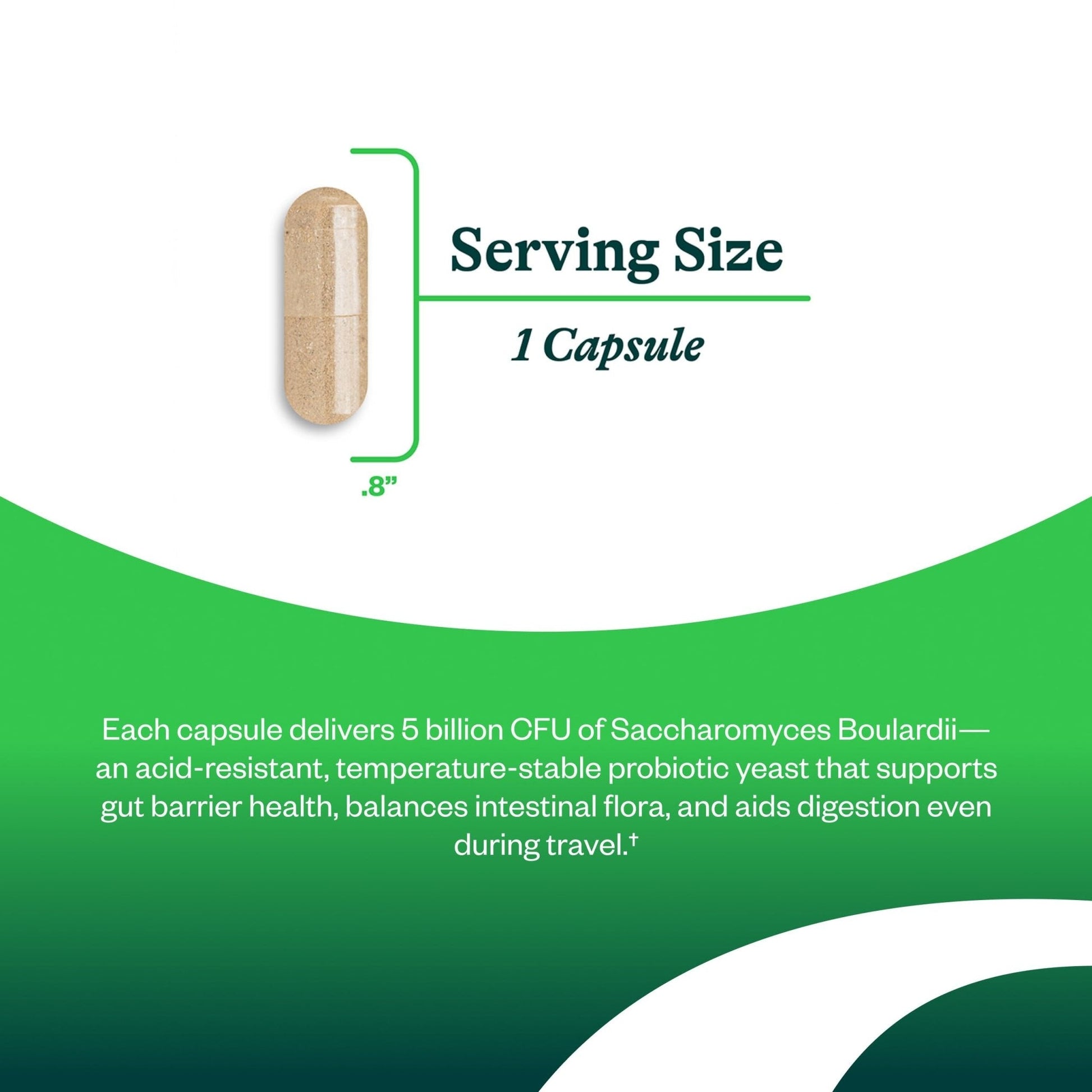 Seeking Health Saccharomyces Boulardii - Gentle Digestive Support for Healthy Bowel Movements* - Supports a Good GI Tract Environment & Microbiome While Traveling* - Maple Wellness Supplements
