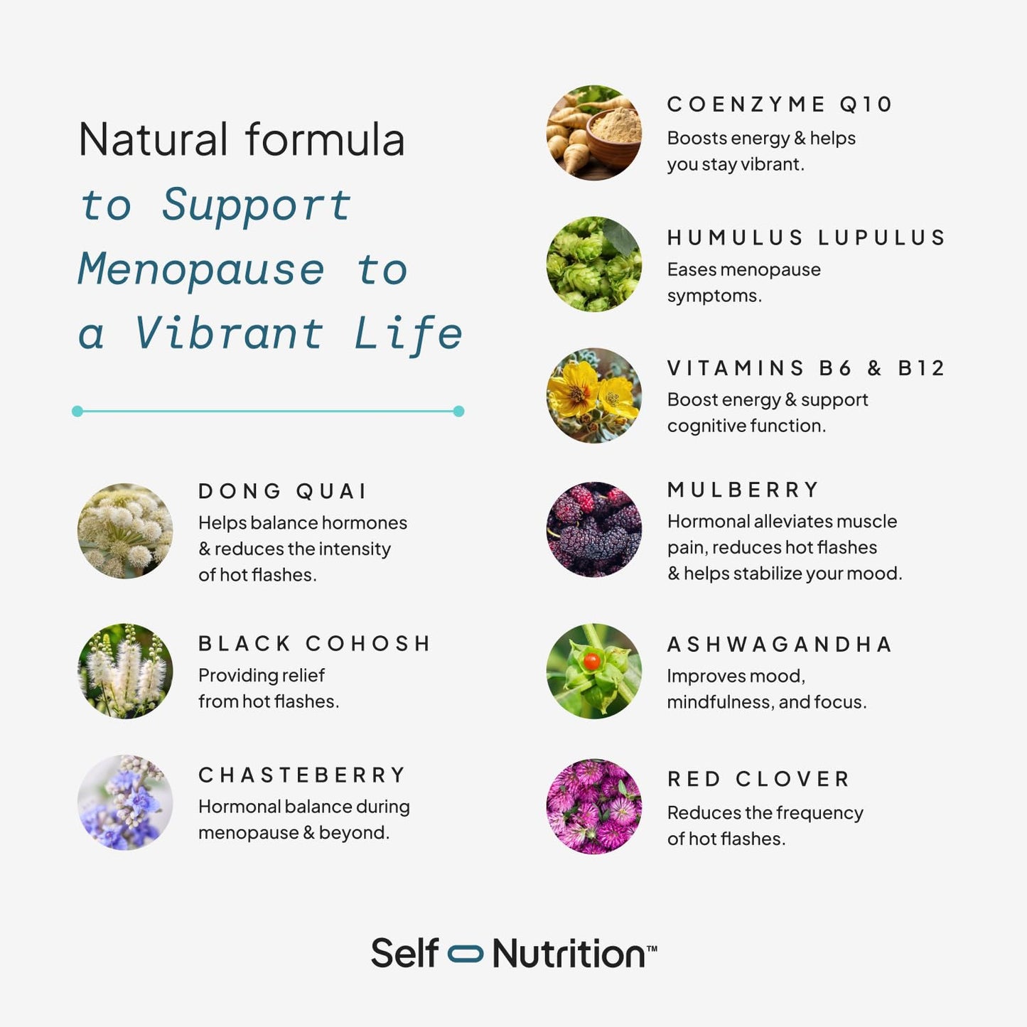 SELF NUTRITION Menopause Support for Women -All-Natural, Hormone-Free Perimenopause & Menopause Support. Unique Blend for Hot Flashes, Mood, Energy, Sleep & More. Vegan, Gluten-Free, 60 Capsules. - Maple Wellness Supplements