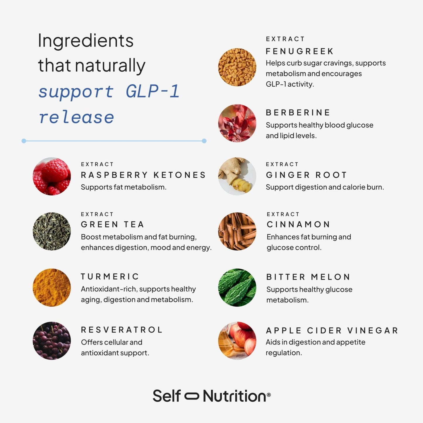 SELF NUTRITION Natural Supplement for Women – Third-Party Tested - Metabolism & Appetite Support with Berberine, Green Tea, Cinnamon & Resveratrol - Maple Wellness Supplements