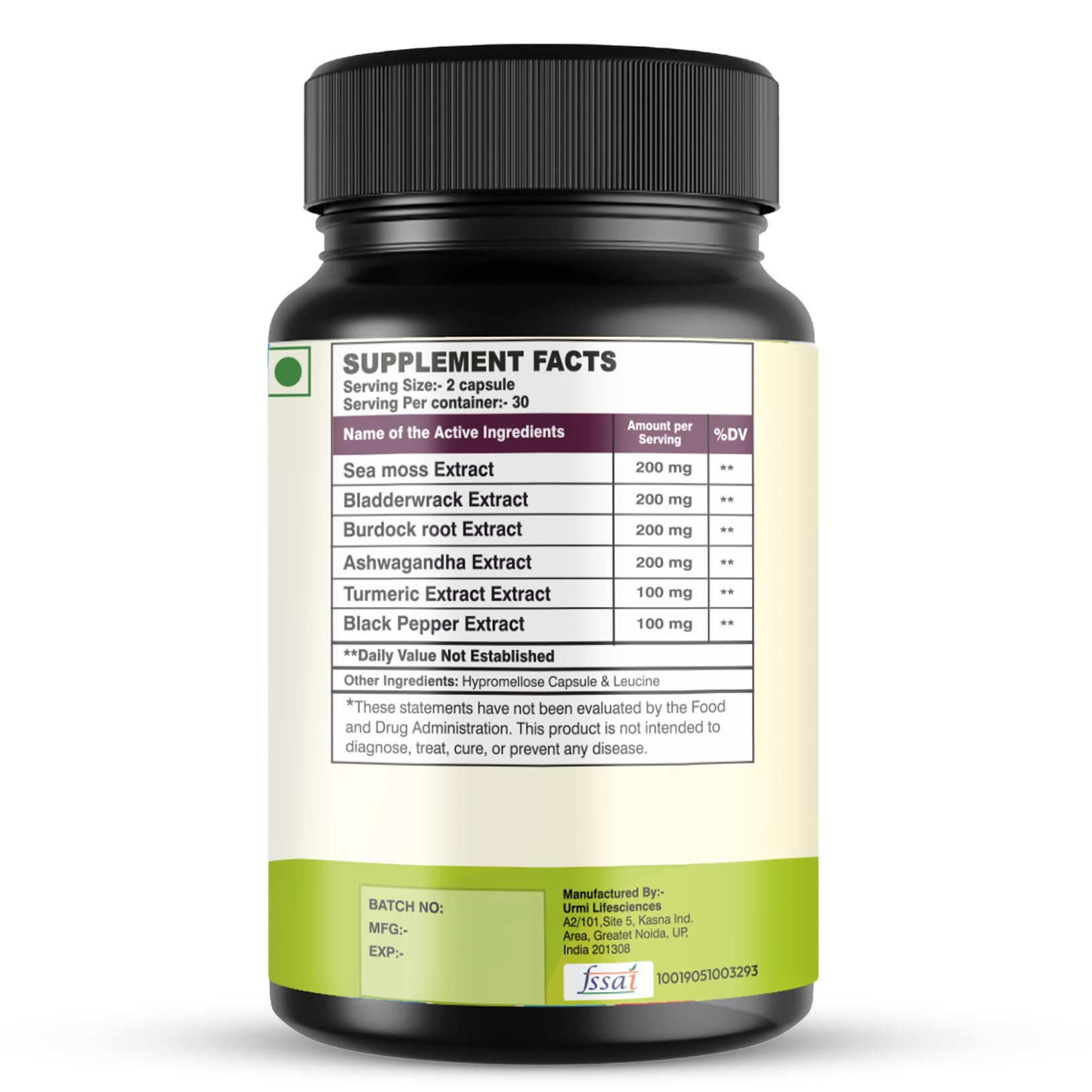 SETNUTRA Well From Within Sea Moss 6 in 1 Super Blend Ashwagandha Burdock Turmeric & Bladderwrack Immunity & Detox Support 60 Veg Capsules Non GMO No Gluten - Maple Wellness Supplements