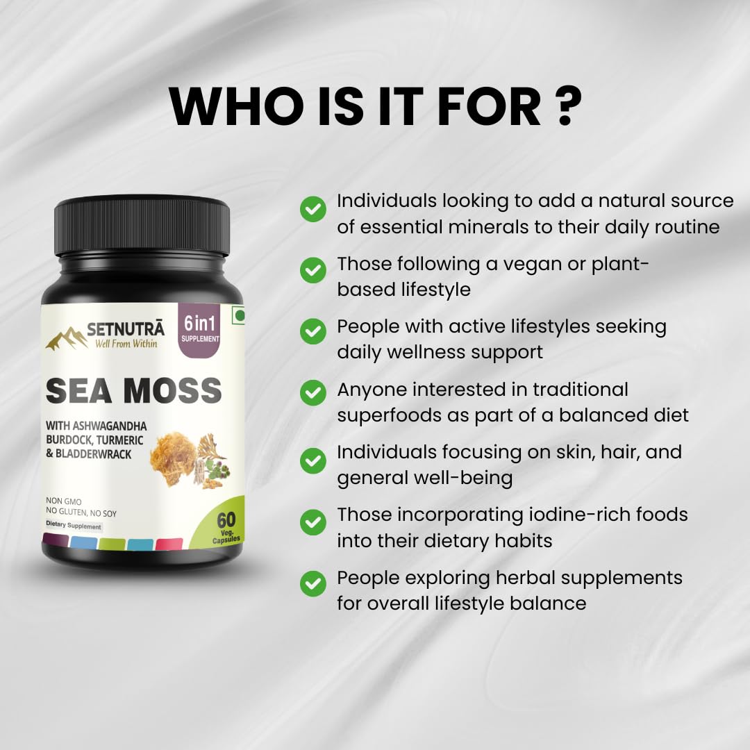 SETNUTRA Well From Within Sea Moss 6 in 1 Super Blend Ashwagandha Burdock Turmeric & Bladderwrack Immunity & Detox Support 60 Veg Capsules Non GMO No Gluten - Maple Wellness Supplements
