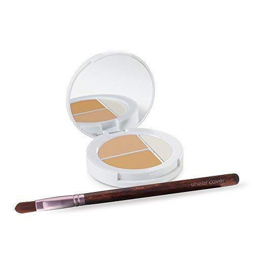 Sheer Cover Studio – Conceal and Brighten Highlight Trio – Two-Toned Concealers – Shimmering Highlighter – Light/Medium Shade – With FREE Concealer Brush – 3 Grams - Maple Wellness Supplements