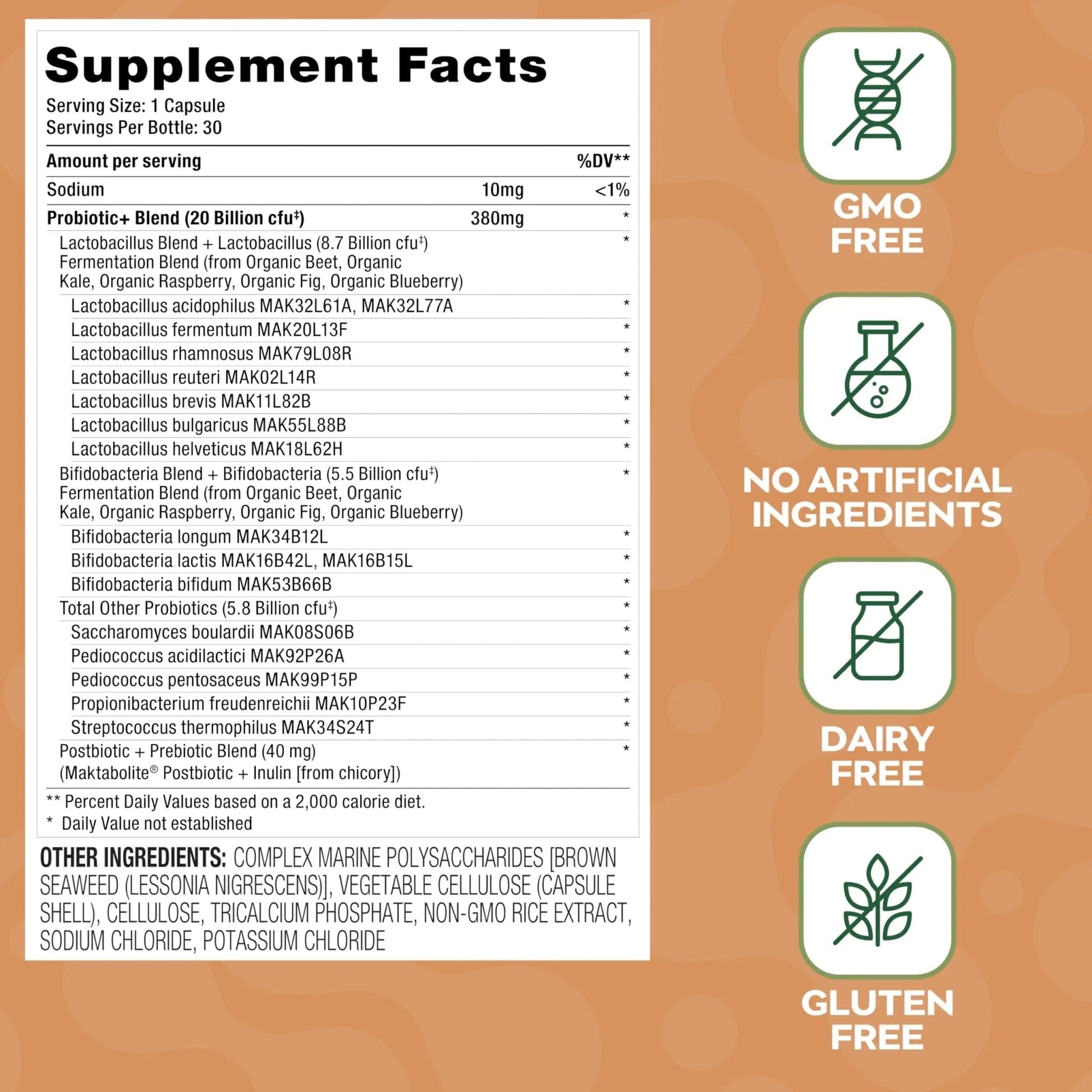 Social Naturals Daily Probiotic | 20 Billion CFU | Multi-Strain with Prebiotic + Postbiotic | Gut Health & Digestion Support | Vegan | 30 Capsules - Maple Wellness Supplements