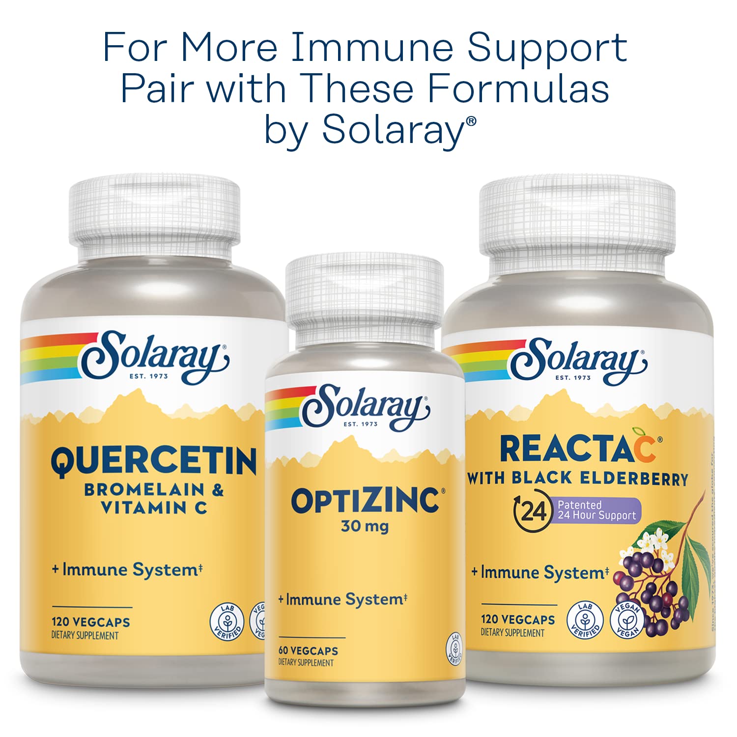 SOLARAY L-Lysine Monolaurin Immune Support Supplement, 1:1 Ratio for Immune System Function, 500 mg Each, 60-Day Money Back Guarantee - Maple Wellness Supplements