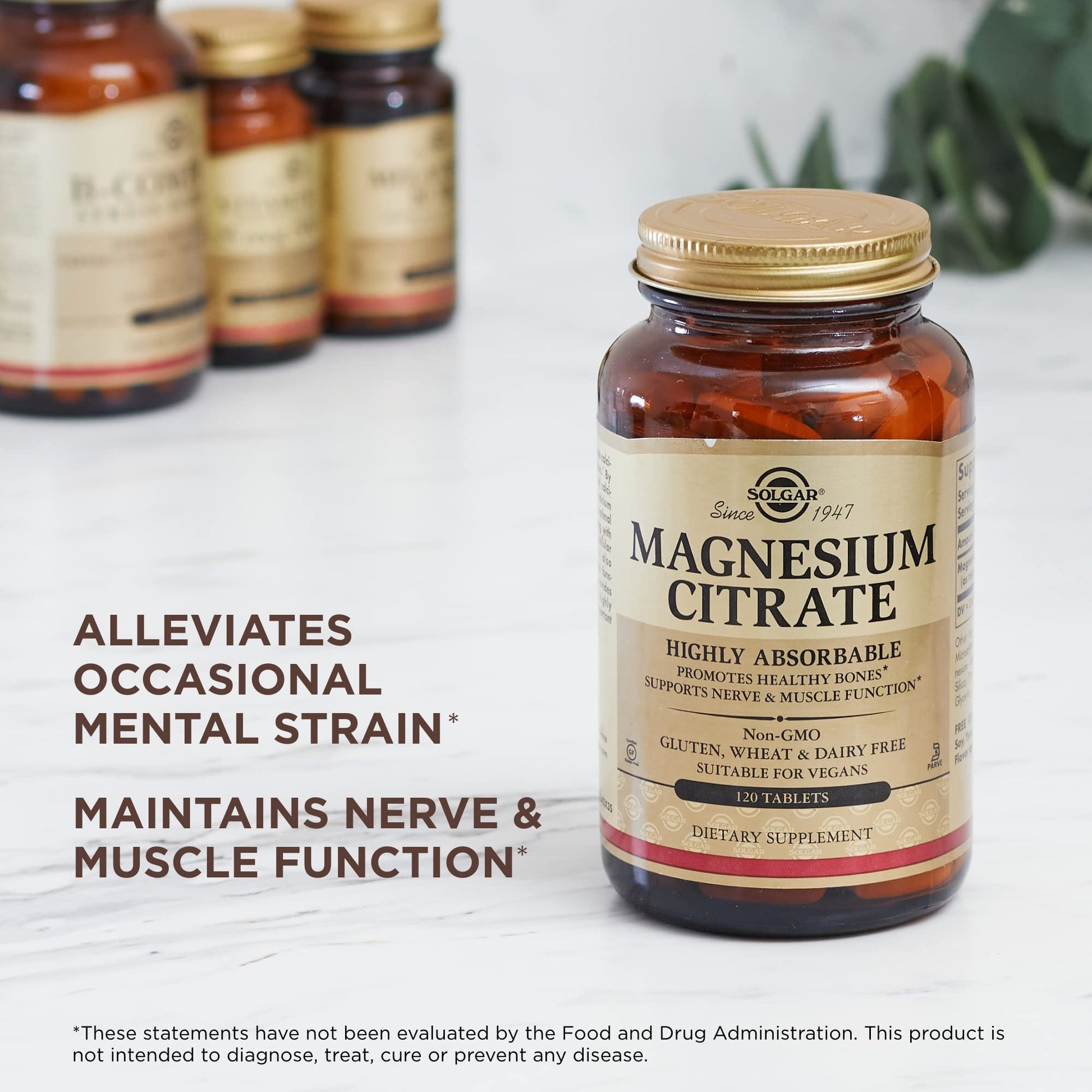 Solgar Magnesium Citrate - 120 Tablets, Pack of 2 - Promotes Healthy Bones, Supports Nerve & Muscle Function - Highly Absorbable - Non-GMO, Vegan, Gluten Free, Kosher - 120 Total Servings - Maple Wellness Supplements