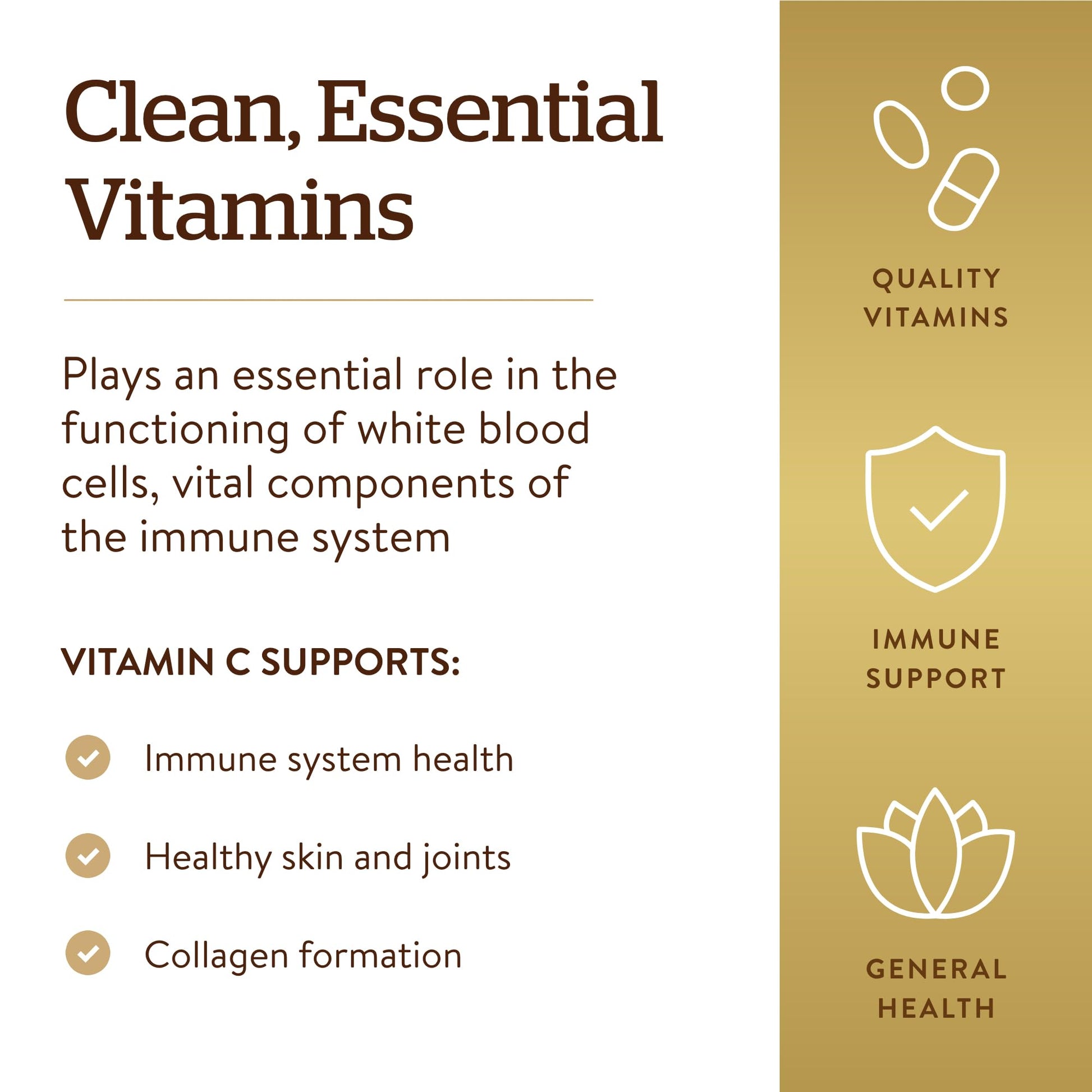 Solgar Vitamin C 1000mg - Healthy Immune System - Helps Fight Free Radicals - Vegan - Maple Wellness Supplements