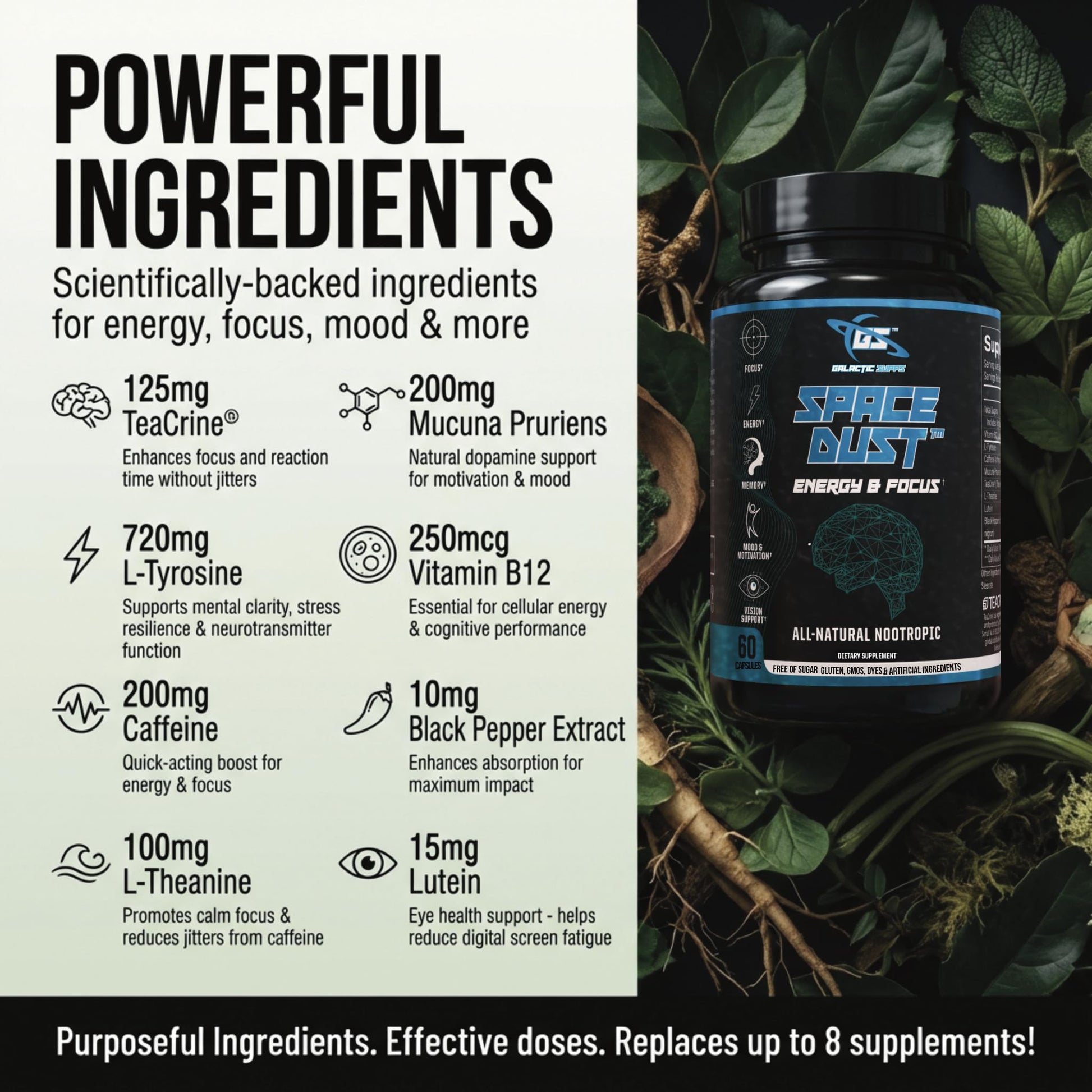 Space Dust Brain Supplements for Memory and Focus – Nootropic Focus Supplement for Brain Health & Mind Boost with TeaCrine, Caffeine, L-Tyrosine, L-Theanine – Cognitive Support Capsules, 60 Count - Maple Wellness Supplements