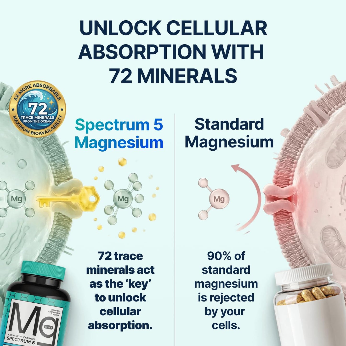 Spectrum 5 Magnesium | 5-in-1 Complex + 72 Trace Minerals for Enhanced Absorption | Irish Sea Sourced | 500mg per Serving - Maple Wellness Supplements