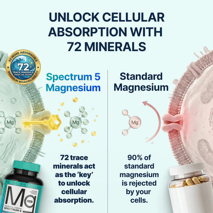 Spectrum 5 Magnesium | 5-in-1 Complex + 72 Trace Minerals for Enhanced Absorption | Irish Sea Sourced | 500mg per Serving - Maple Wellness Supplements