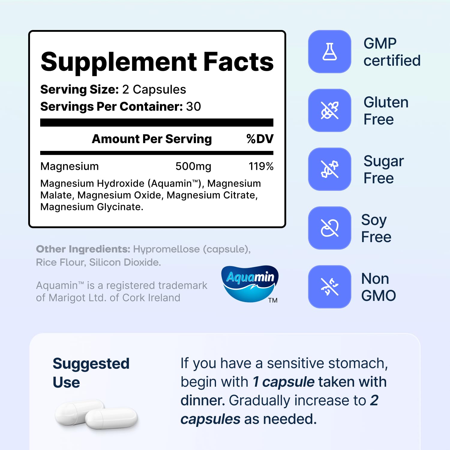 Spectrum 5 Magnesium | 5-in-1 Complex + 72 Trace Minerals for Enhanced Absorption | Irish Sea Sourced | 500mg per Serving - Maple Wellness Supplements
