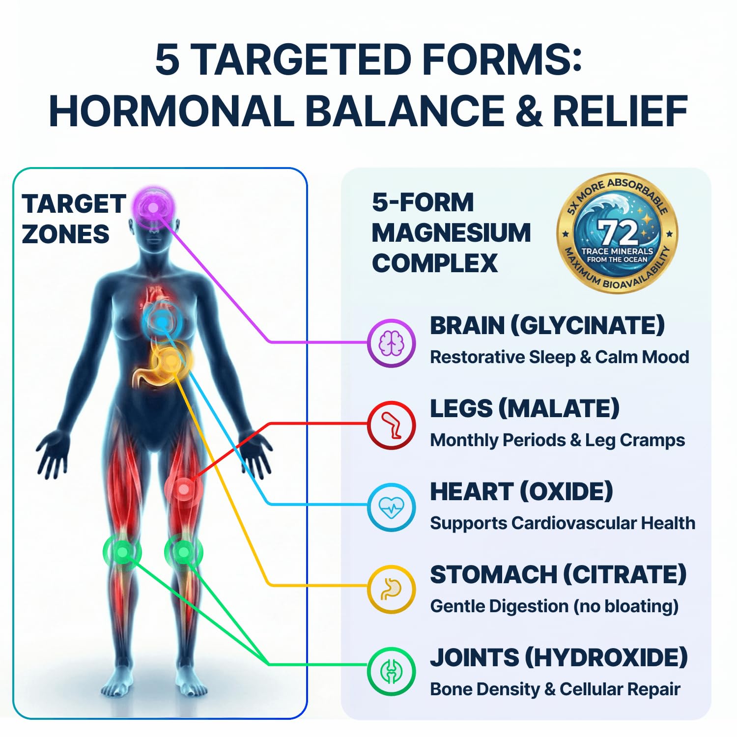 Spectrum 5 Magnesium | 5-in-1 Complex + 72 Trace Minerals for Enhanced Absorption | Irish Sea Sourced | 500mg per Serving - Maple Wellness Supplements