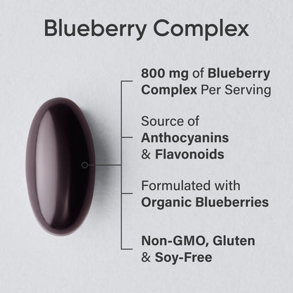 Sports Research Blueberry Capsules - Made from Organic Blueberries with Organic Extra Virgin Olive Oil - Non-GMO & Gluten Free - 60 Liquid Softgels - Maple Wellness Supplements