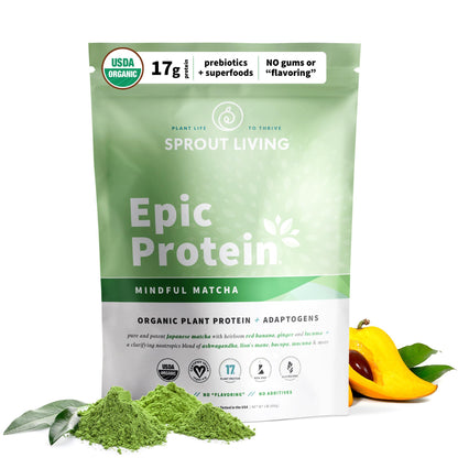 Sprout Living Epic Protein, Plant Based Protein & Superfoods Powder, Mindful Matcha - Maple Wellness Supplements