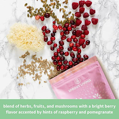 Sprout Living Epic Protein, Plant Based Protein & Superfoods Powder, Pro Collagen, - Maple Wellness Supplements