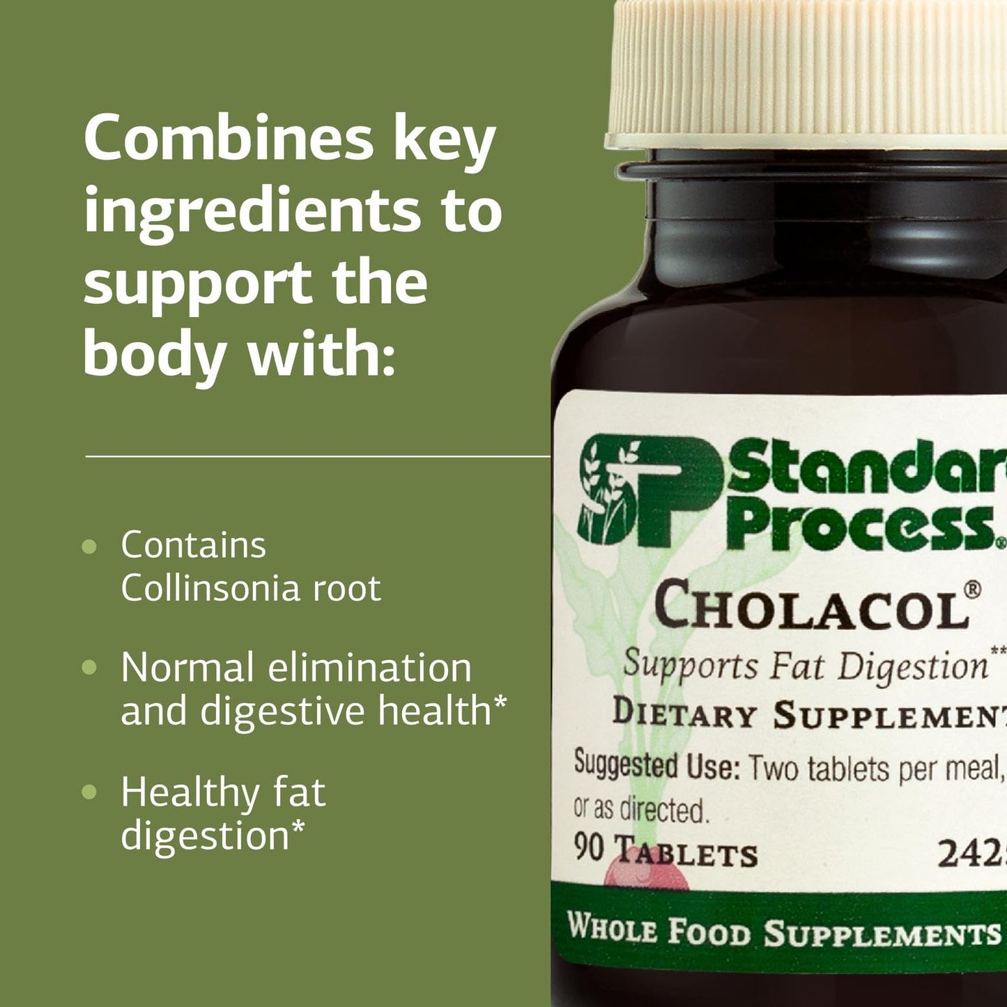 Standard Process Inc. Cholacol - Gallbladder Support Supplement - Fat Digestion Supplement for Digestive Health & Bile Support - Maple Wellness Supplements