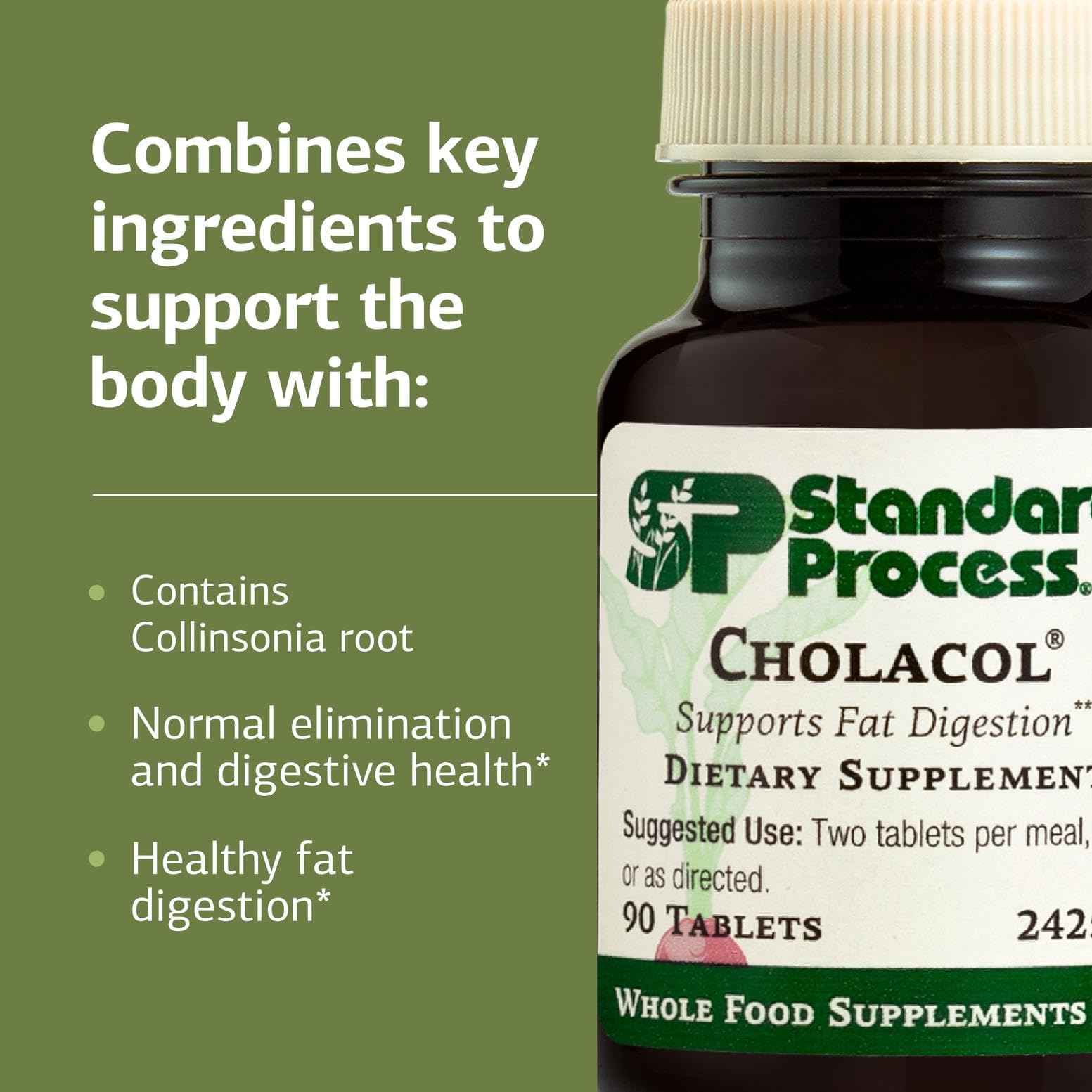 Standard Process Inc. Cholacol - Gallbladder Support Supplement - Fat Digestion Supplement for Digestive Health & Bile Support - Maple Wellness Supplements