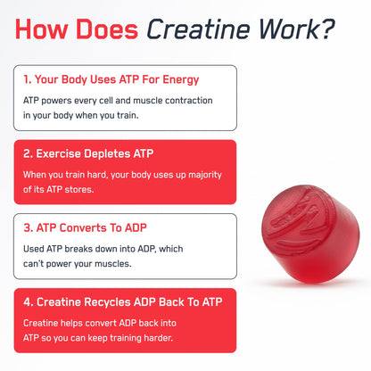 SteelFit Creapure Creatine Monohydrate Gummies for Men & Women, Juicy Watermelon - Gym Workout Nutritional Supplements for Muscle Gain, Brain Health & Strength Building Dietary Supplement, 120 Gummies - Maple Wellness Supplements